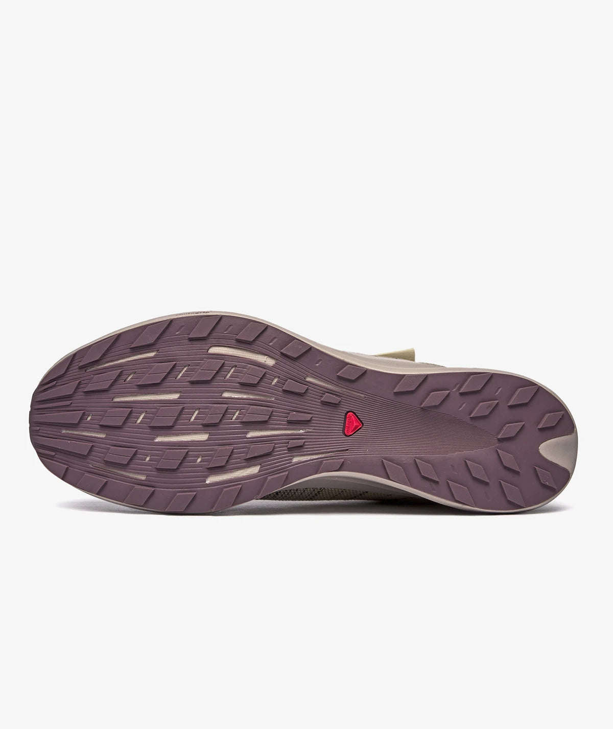 Salomon Pulsar Advanced “Moonscape”