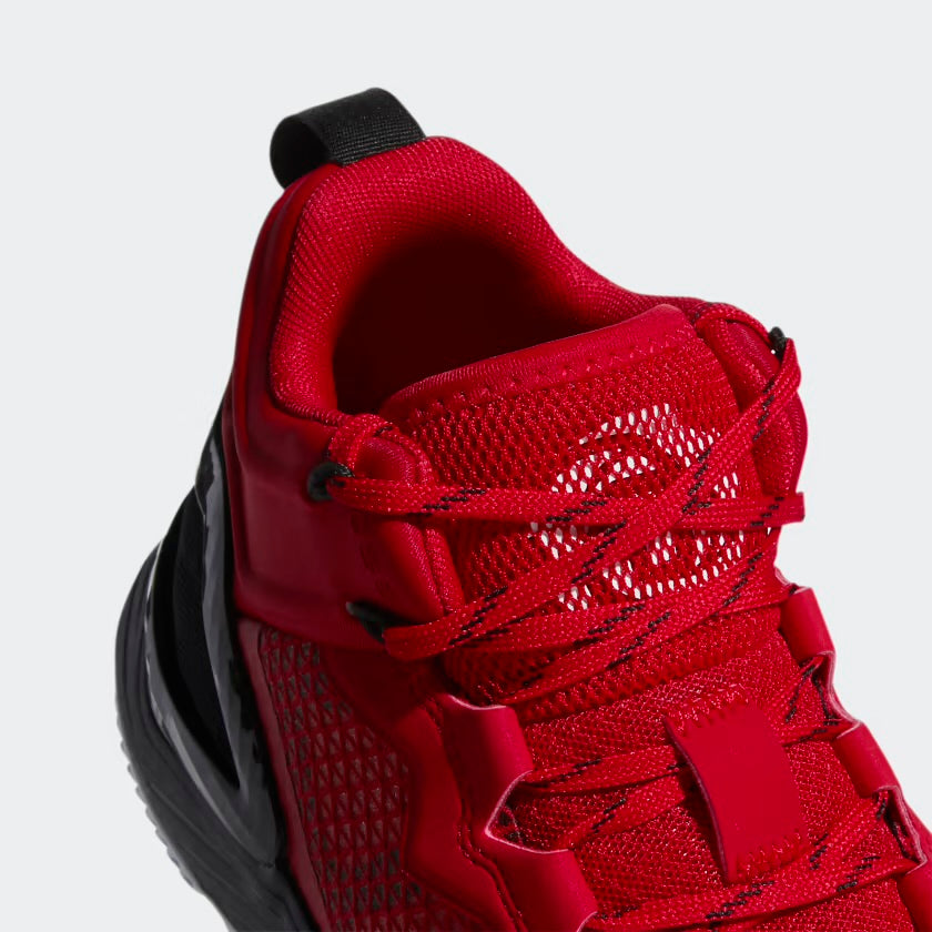 Adidas x DRose Son of Chi