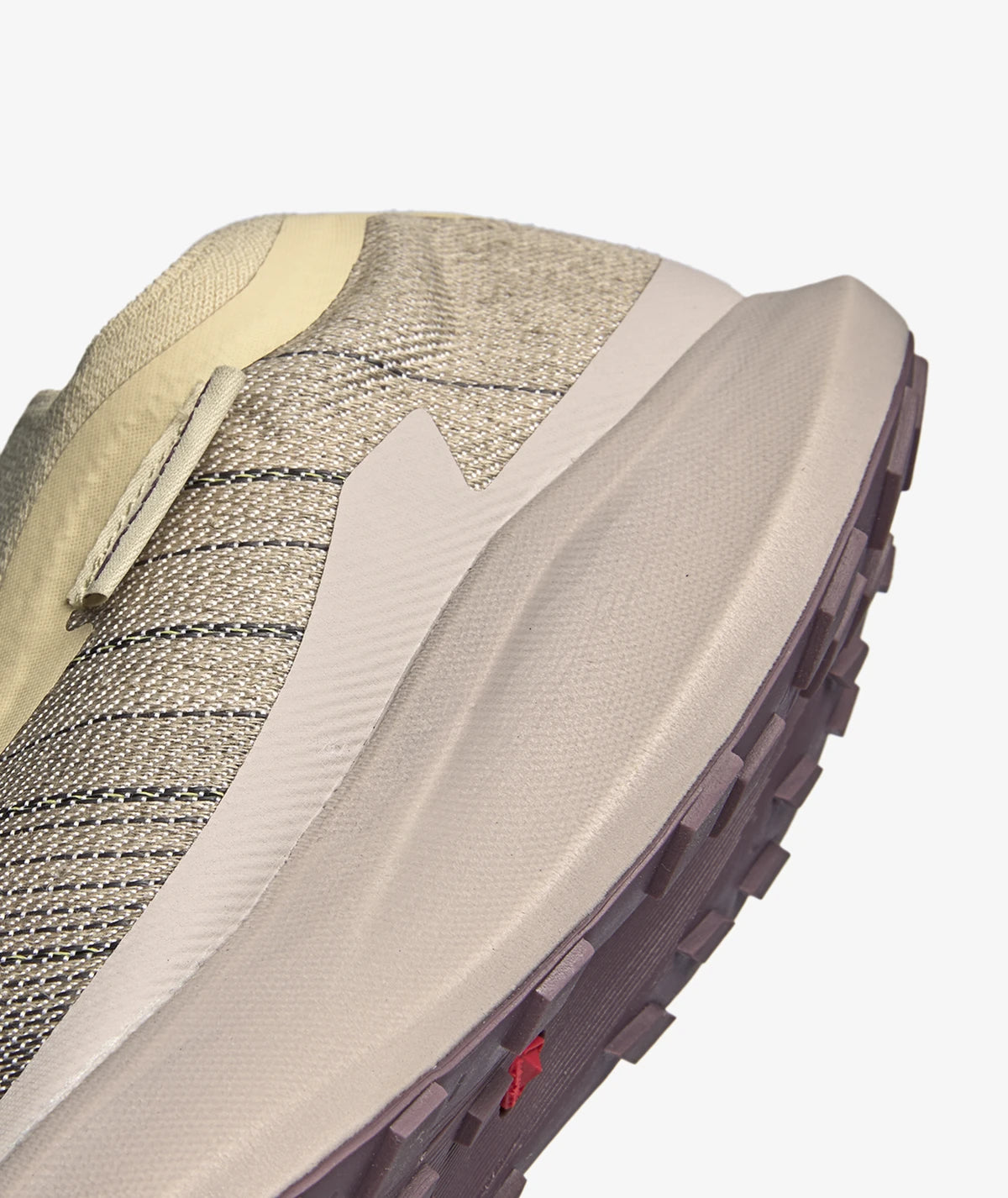 Salomon Pulsar Advanced “Moonscape”