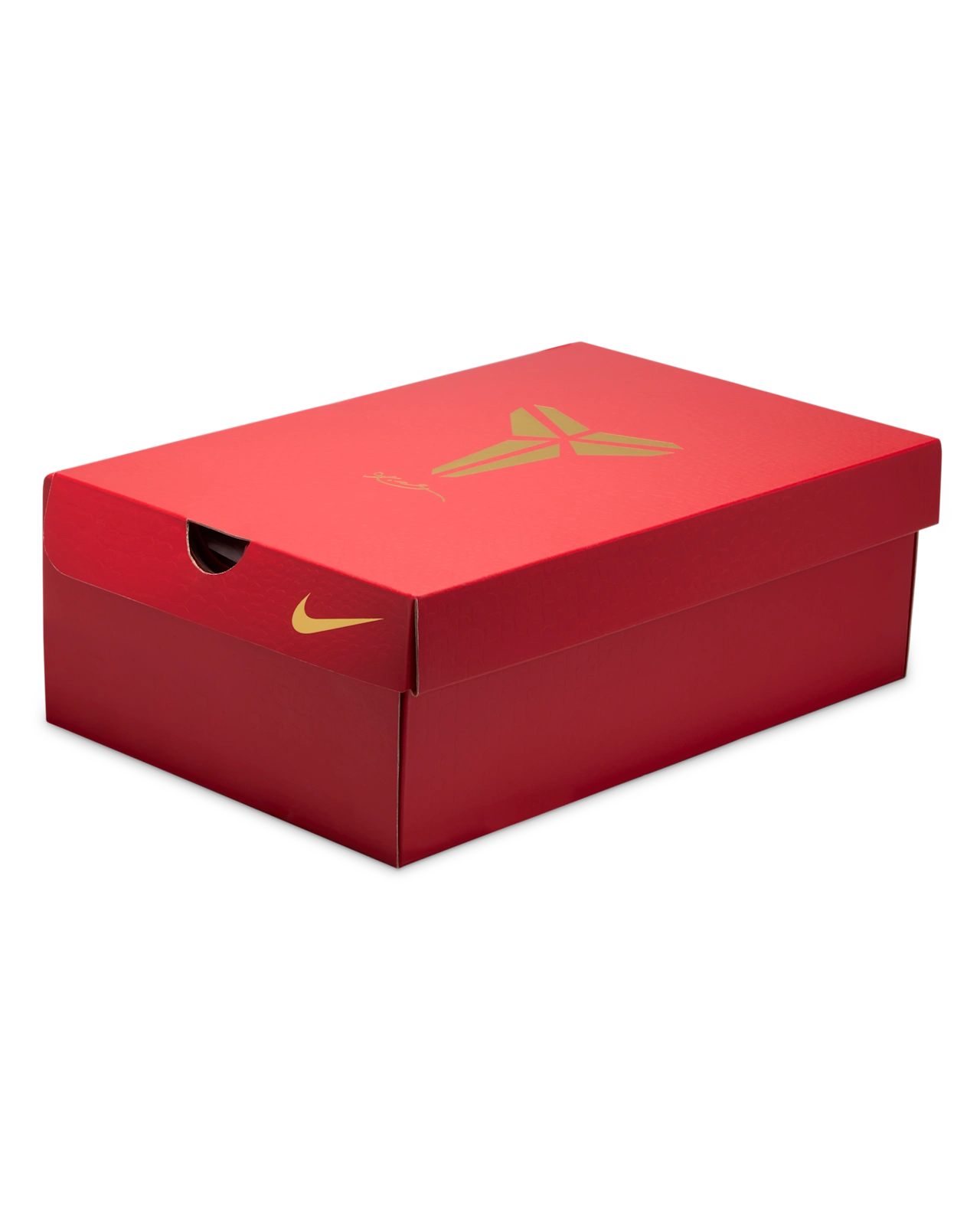 Nike Kobe 5 Protro "Year of the Mamba" Eggplant