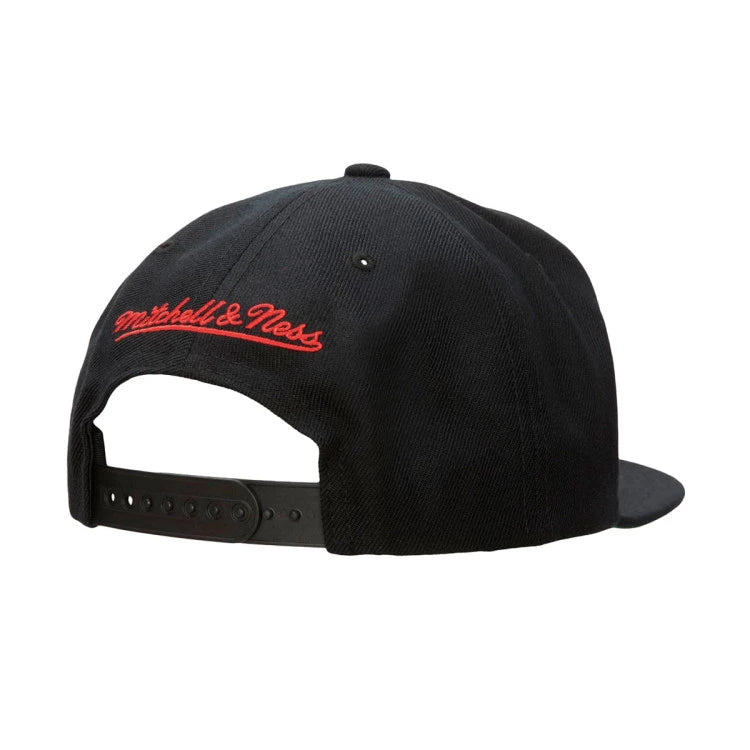 Mitchell & Ness Chicago Bulls Back 2 Back Champs HWC 91/92