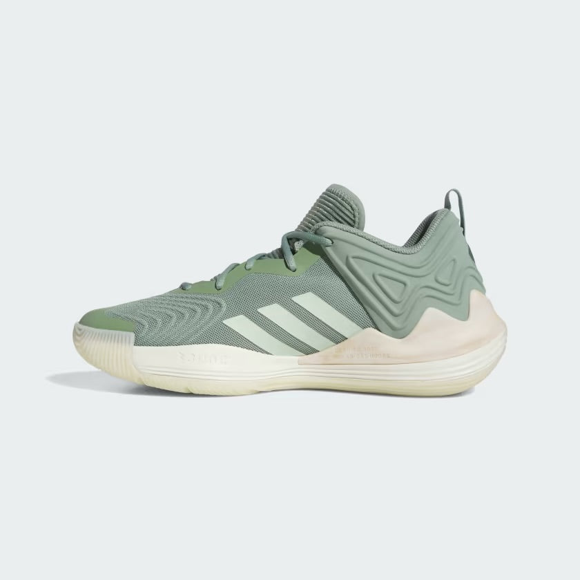 Adidas x DRose Son of Chi 3 “Silver Green”