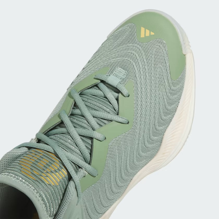 Adidas x DRose Son of Chi 3 “Silver Green”
