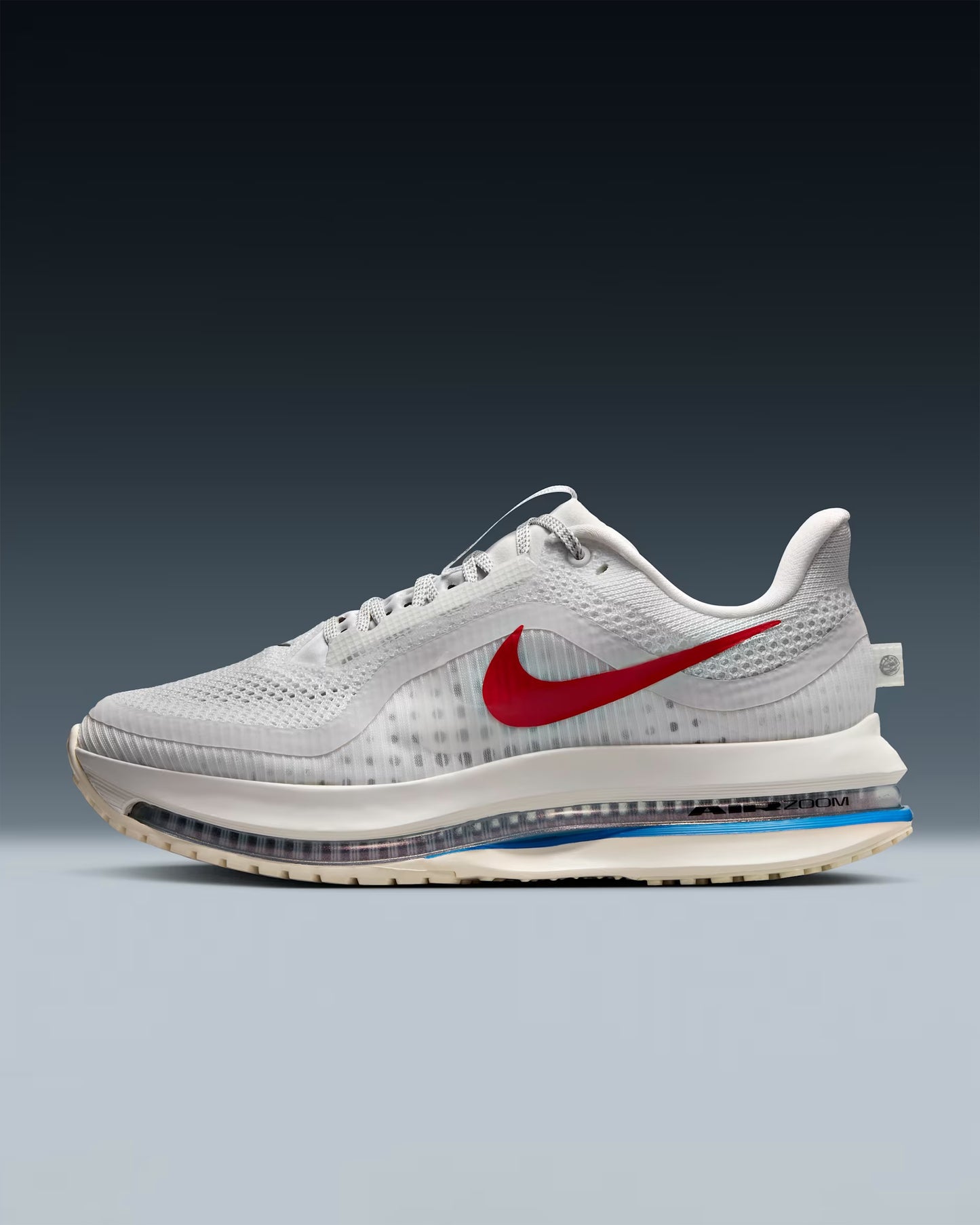 Nike Pegasus Premium “Forrest Gump”