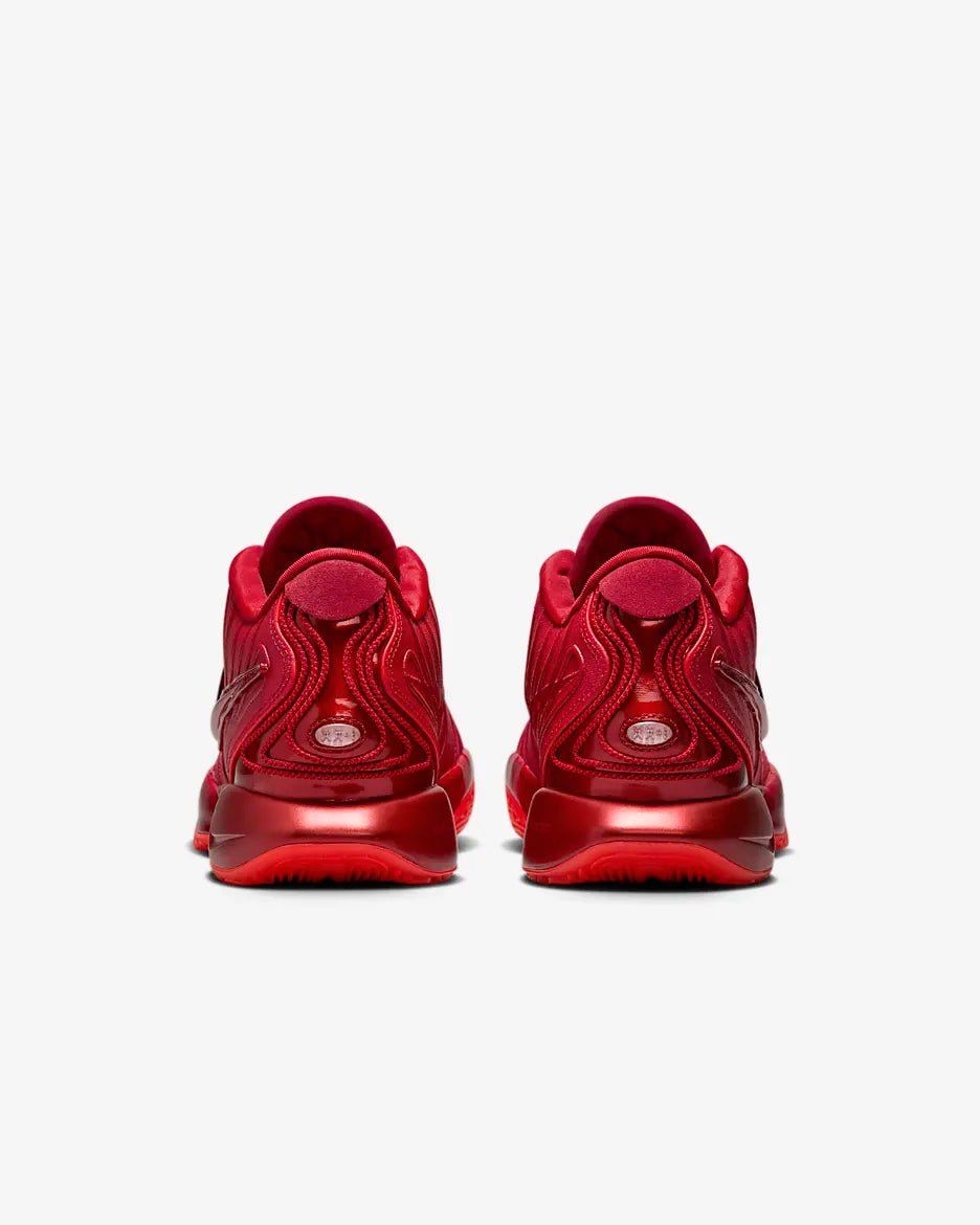 Nike LeBron 21 “James Gang”